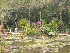 -西双版纳总佛寺