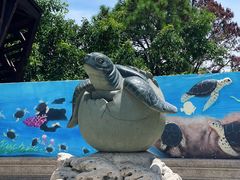 -广东惠东海龟国家级自然保护区