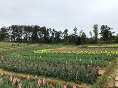 -保利石象湖景区