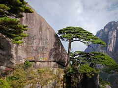 -黄山风景区
