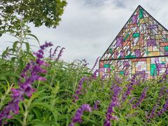 -紫颐香薰山谷景区