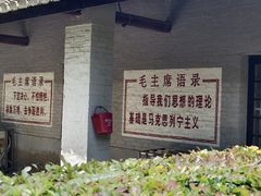 -大丰知青农场