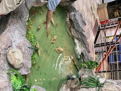 -宜兴隆家宴·私房菜(泰安华庭店)