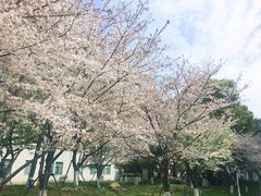 -苏州市立医院本部母子保健中心
