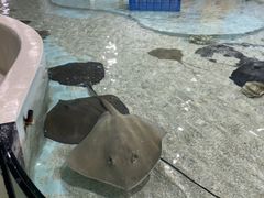 -台州海洋世界