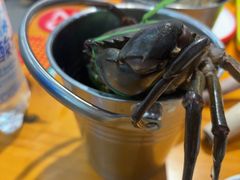 -养牛邓·潮汕牛肉海鲜自助火锅(广州店)