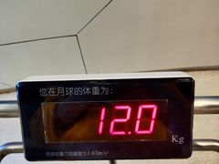 -上海儿童博物馆