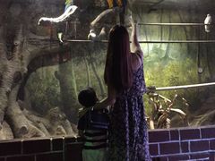 -多彩贵州城极地海洋世界