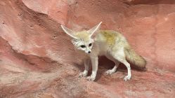 -Zoolung Zoolung动物主题公园(海信广场店)