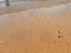 -日照海滨国家森林公园