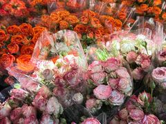 -循礼门鲜花花市(武汉循礼门店)