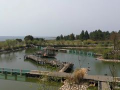 -鄱阳湖国家湿地公园