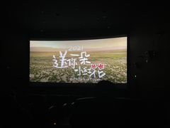 -武商摩尔影城(国广IMAX激光店)