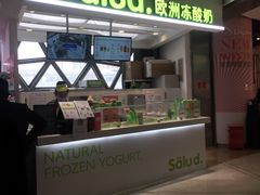 门面-Salud撒露欧洲冻酸奶(北苑上品店)
