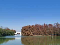 -上海海湾国家森林公园