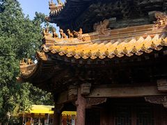 -中岳庙