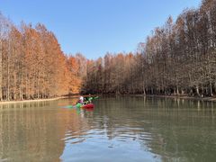 -上海海湾国家森林公园