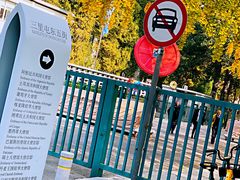 -三里屯东五街银杏大道