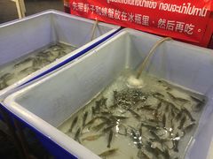 -芭提雅Amporn Seafood自助餐厅