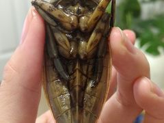 -莫华(锦绣趣园北街店)