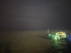 -碧海金沙