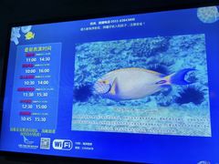 -合肥海洋世界