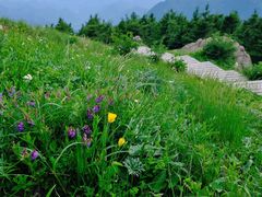 -白草畔自然风景区
