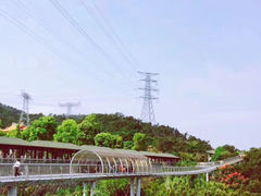 -仙岳公园