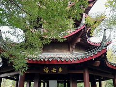 -西溪国家湿地公园