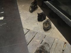 -洛克公园·篮球·足球·羽毛球(莘庄店)