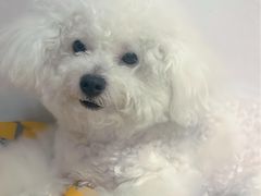 -MOI COFFEE(江山汇悦山府店)