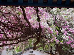 -深圳国际园林花卉博览园