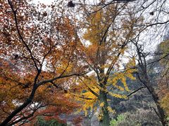 -狼山风景名胜区