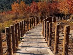 -白水寺森林公园