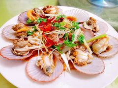 油泼扇贝-1910老鲁味海鲜·戳子肉·青岛菜(金沙滩店)