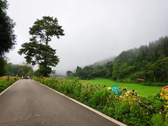 -武陵山森林公园