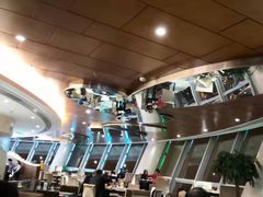 -339旋转餐厅(天府熊猫塔店)