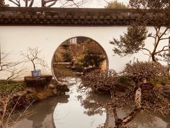-上海醉白池公园
