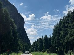 -重庆睡佛山森林公园