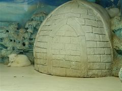 -华夏文旅西安度假区