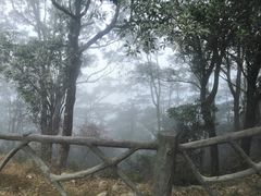 -梧桐山风景名胜区
