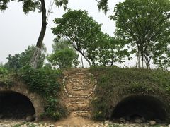 -桤木河湿地公园