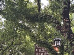 -桂林独秀峰王城景区