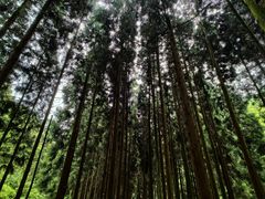 -娄山关景区