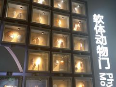-中国湿地博物馆