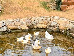 -HERRE·FARM 赫尔露营农场·团建聚会包场