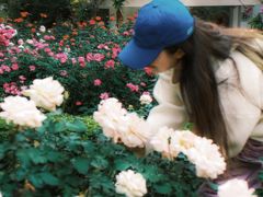 -人民公园(罗湖区)