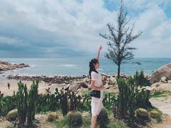 -广东惠东海龟国家级自然保护区