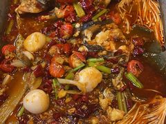 -鱼酷活鱼烤鱼(沈阳大悦城店)