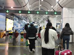 -大望路(地铁站)